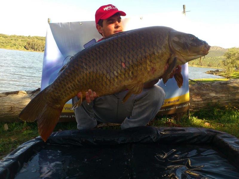 forta senzor - 21276240011449470532395515734n11111.jpg